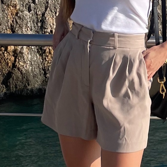 Aritzia Pleated Short 5” - Picture 5 of 6